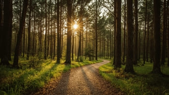 FiConn Andre Fischer Impulsspaziergang 1